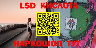 твердый Новозыбков