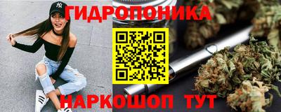 мдпв Новодвинск