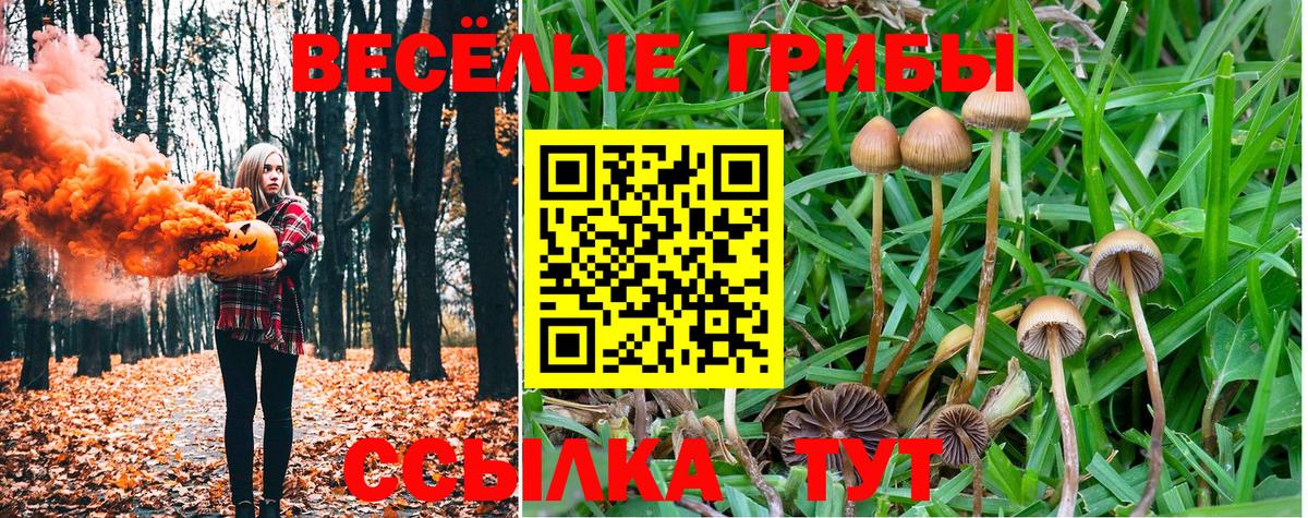 Галлюциногенные грибы MAGIC MUSHROOMS Сызрань