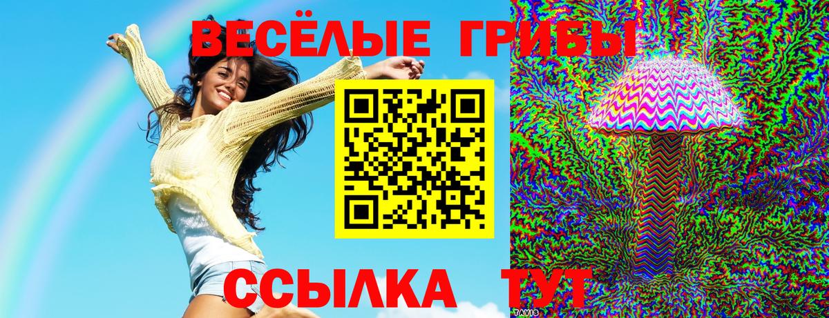 Сызрань  Псилоцибиновые грибы мицелий  Вход с VPN 